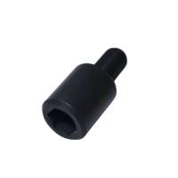 Болт спеціальний під внутрішній шестигранник A139358000